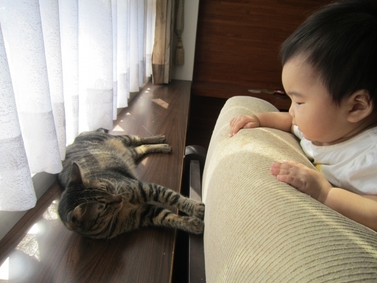 我們要一起長大